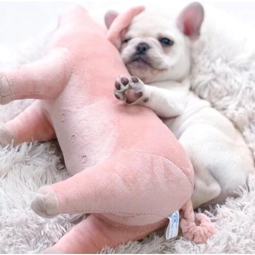 Dog Sleeping Toy Estrus Toy Male Dog Sex Vent Plush Poodle Play Toy Companion French Bulldog Pet Cat Exhaust Companion Pig Doll