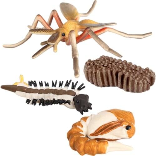 Life Cycle of a Mosquito 4 Part Insects Growth Figures Model Kids Education Learning Cognitive Biology Toys Teaching Aids