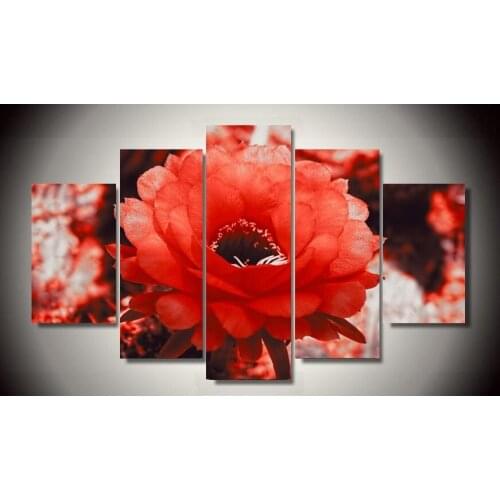 5 Pieces/set HD Printed red cactus blossom 5 piece painting wall art childrens room decor poster canvas Free shipping