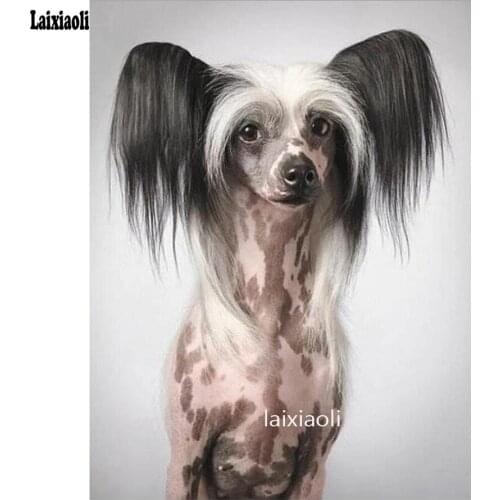 5D Diy Diamond Painting chinese crested dog Diamond Mosaic Cross Stitch Full Square round Drill Diamond Embroidery Decoration