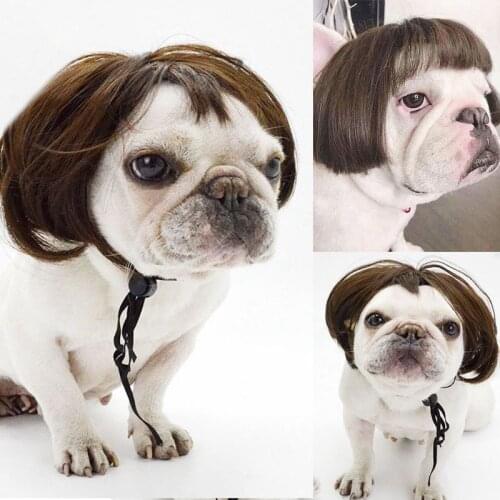 Props Dog Cat Cross-Dressing Hair Set Pet Wig Cosplay Photography Funny Props Head Accessories Prank Pet Supplies