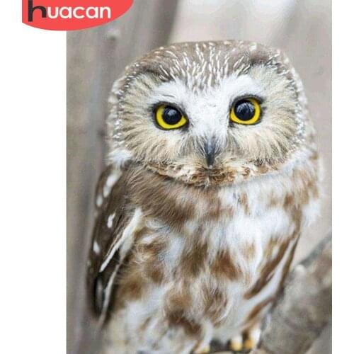 HUACAN 5D Diamond Painting Owl Birds Full Drill Resin Pictures Of Rhinestones Decor Home DIY Mosaic Diamond Embroidery Animals