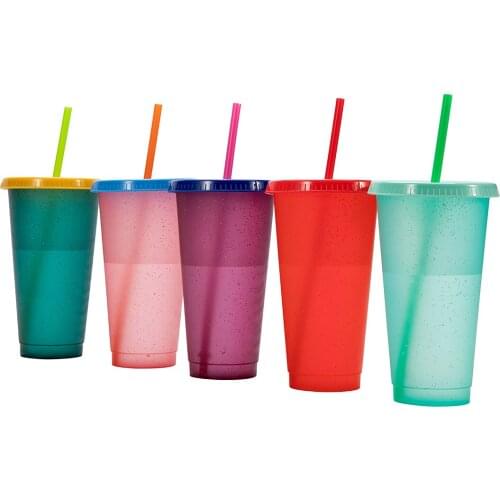 5pcs/lot Cup with Lids Straws Cuo Coffee Juice Anti-slip Straw Mug 24oz 5 Bulk Cup for Adults Kids DIY Graffiti Birthday Gift