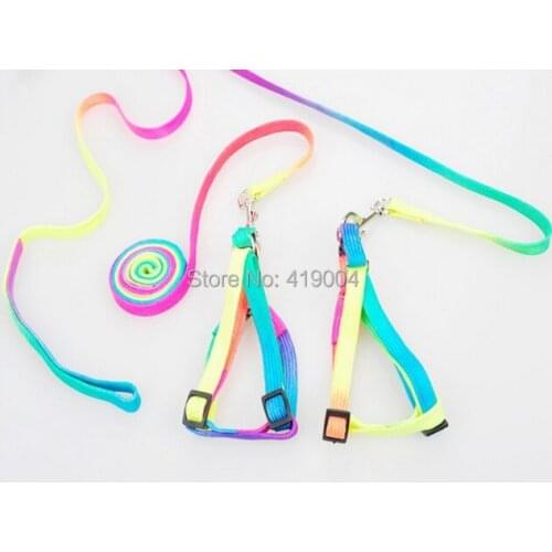 Dog Pet Collar Rope Chain For Small Dogs Cat Colorful Fedex dhl Free shipping ,500pcs/lot