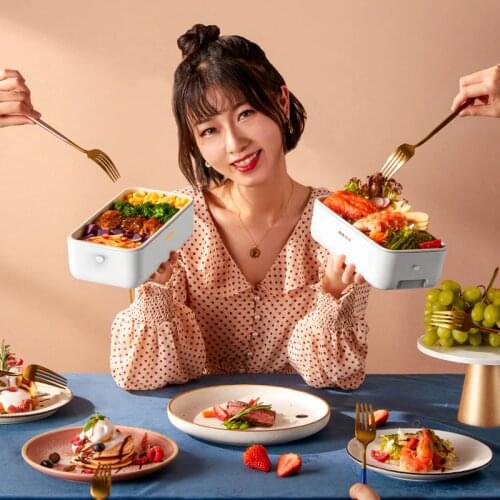 220V Electric Lunch Box Portable Heating Lunch Box Rice Cooker Constant Temperature Heating Water Free Mini Food Warmer 800ml