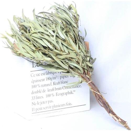 1 Bunch Eucalyptus Leaves Willow Dry Flower Bouquet Office Home Decoration Flower Material Handmade Flower DIY Accessories