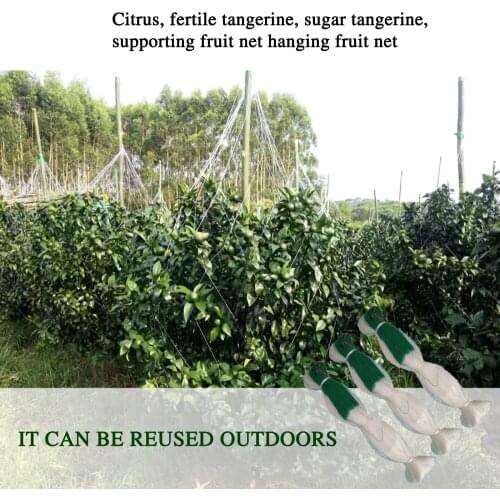 Climbing Net Plant Support Mesh Rattan Garden Netting 2*100m Vegetables Fruits Reusable Recyclable Heavy-Duty