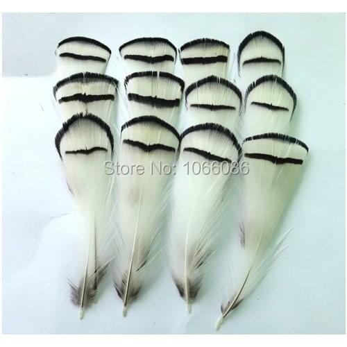 Free shipping 100pcs 6-8cm natural white PHEASANT FEATHERS CHICKEN FEATHERS FOR JEWELRY