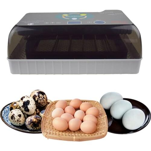 Upgraded 12 Egg Incubator Digital Fully Automatic Incubator for Chicken Eggs, Poultry Hatcher for Chickens Ducks Goose Birds