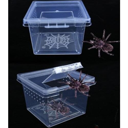 1Pc Feeding Box Reptile Cage Hatching Container Rearing Tank Clear Reptile Vivarium Terrarium Insect Rearing Box Food Feeding Bo