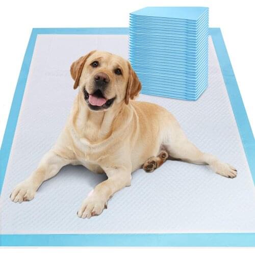 Quality Dog Training Mat Super Absorbent Disposable Healthy Nappy Napkin Cat Pad Indoor Deodorant Cleaning Supplies Pet Diaper