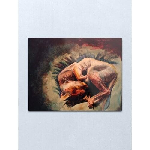 Sphynx Cat Metal Print Tin Sign Bar Home Wall Decor Metal Art Poster Vintage Farmhouse Home Decor