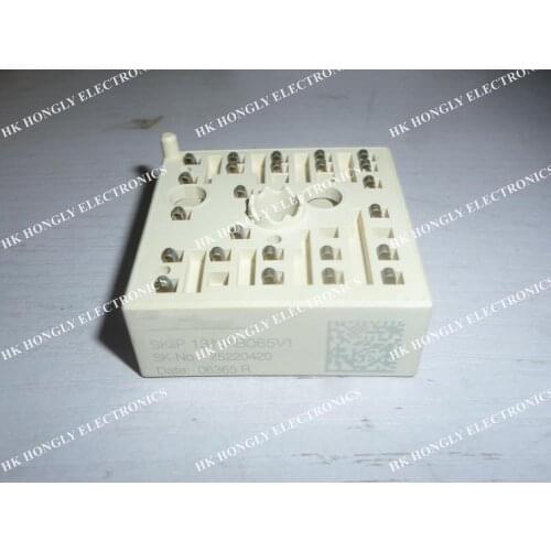 SKIIP13NAB065V1 module