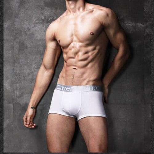 Male Underwear Men Boxer Pure Cotton Sexy Mens Underpants for Men Gay Panties Comfortable Short Soft Boxer Homme 4 Pcs Gift Box