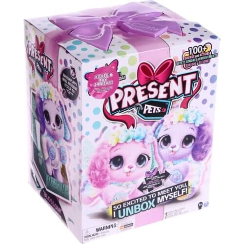 Present Pets Toys And Goods For Creativity