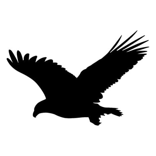 Fun Eagle Bird Vinyl Car Window Sticker Black/Silver Decal Car-styling 17cm*11cm