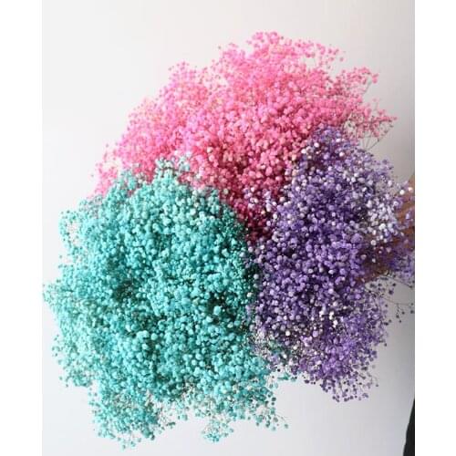 Dried Preserved Flowers Gypsophila Paniculata,Natural Babys Breath Flower Wedding Marriage Decoration Home Living Room Decor