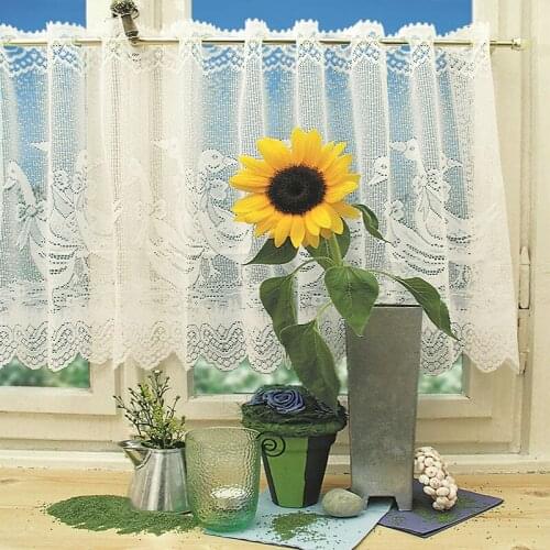 New European Style Short Tulle Curtain White Lace Sheer Curtains for Coffee Shop Bar Window Decoration 160*50cm