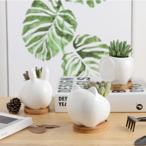 Animal Ceramic Flowerpots Succulents Plants Home Garden Rabbit Cat Succulent Planter Pot with Drainage Tray Table Decor
