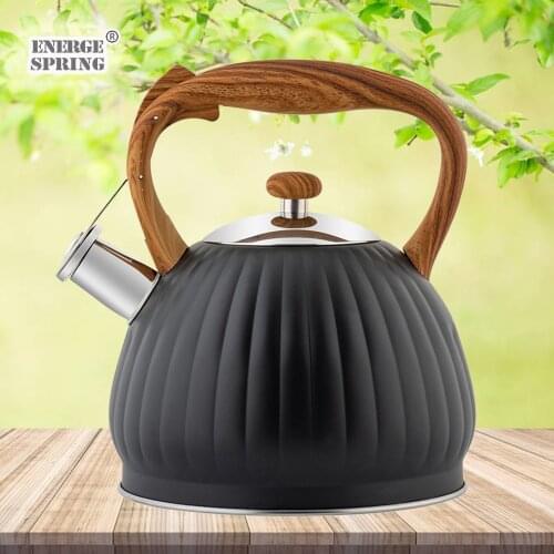 ENERGE SPRING Whistling Kettles