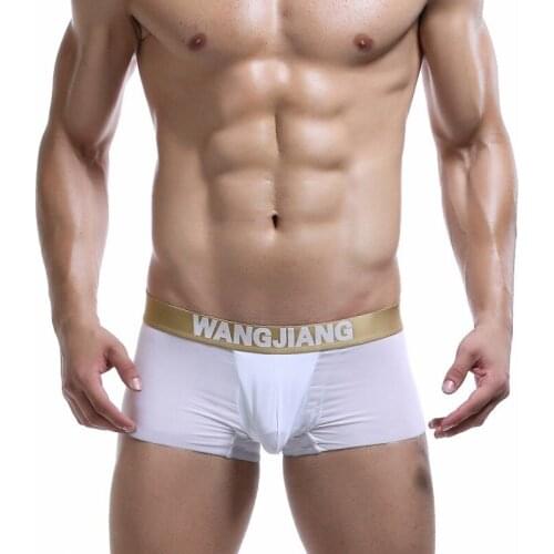 Boxer Gay Underwear Sexy U Convex Pouch Underpants Design Boxers Soft Smooth Fabric New Mens Ice Silk 6 Colors