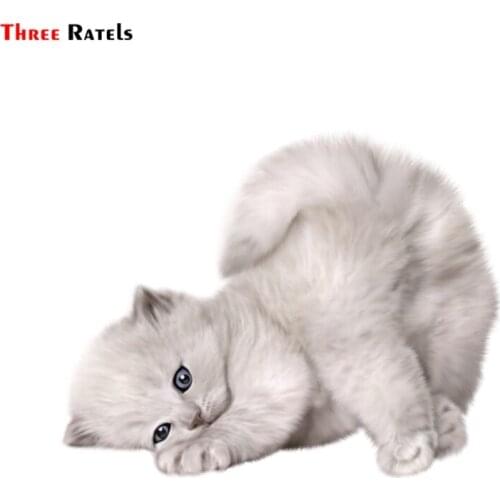 Three Ratels FTC-756#14x17.6cm Cute Persian Cat Sleeping Kitten Scratching Window Wall Auto Motorcycle Car Sticker Decal