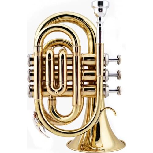 Il belin Mini Pocket Trumpet Bb Flat Brass Wind Instrument with Mouthpiece Gloves Cleaning Cloth Carrying Case