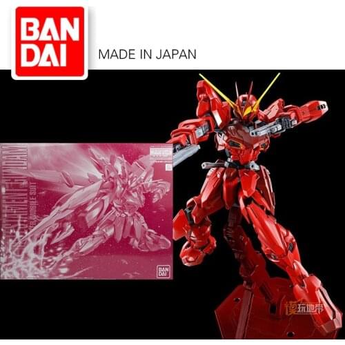 Original Gundam PB MG 1/100 Model ZGMF-X12A Testament GUNDAM Seed Mobile Suit Kids Toys