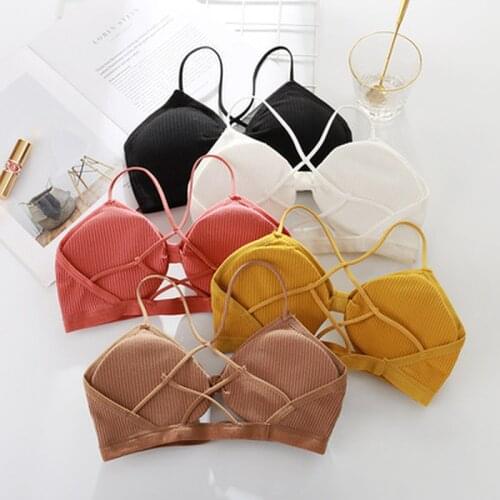 Sportswear Sexy Fitness Yoga Bra Women Padded Sports Bra Shake Proof Running Workout Gym Breathable Fitness Shirt