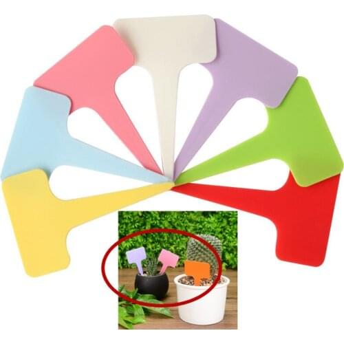 50 Pcs T type Plant Markers Garden Bonsai Succulent Seedings Tags Sign PVC Gardening Labels Stake on Soil Paint Sticks