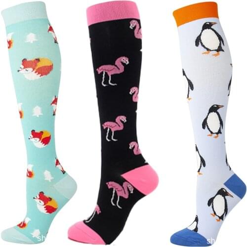 3 Pairs Compression Stockings Animals Fruits Oil Painting Pattern Sports Travel Hot Sell Compress Socks Men Women Packaged