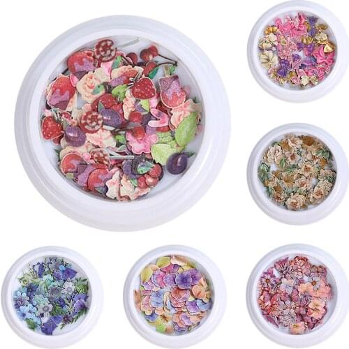 2 Boxes of Animals Plants Flowers Insects Butterflies Bears Nail Art Sequins Nail Art Sequins DIY Manicure Woman Nail Art Sequin