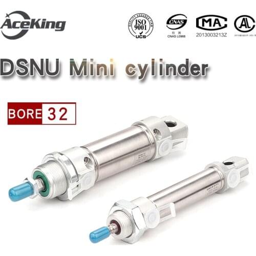 DSNU Stainless steel mini cylinder DSNU32-25/40/50/80/100/125/150/160/200/250/300/320/400-PPV-A DSNU32-25-PPV-A DSNU32-25-P-A