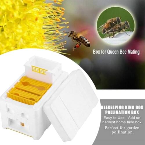 Bee Hive Beekeeping King Box Pollination Box Foam Frames Beekeeping Tool Kit Harvest Bee Hive Case for Garden Pollination