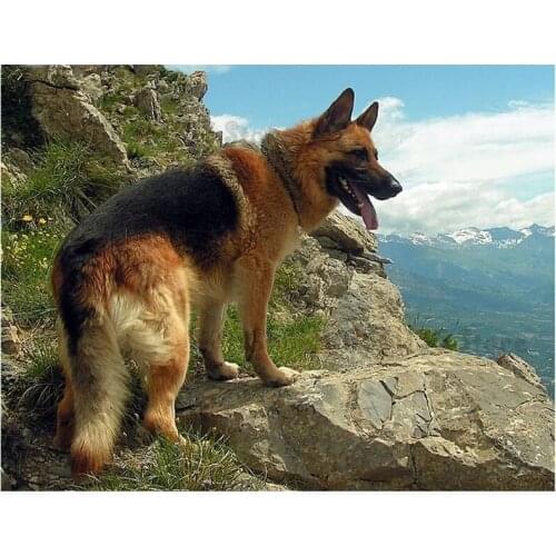 Diamond full square Drill 5D DIY Diamond Painting German Shepherd Embroidery Cross Stitch 3D pet,people Favorite dog art GG3790