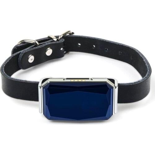 GPS Tracker Real-Time Mini Light GPS Tracker for Pets Dog Cats IP67 Waterproof Pet Locator Tracker Tracking Collar