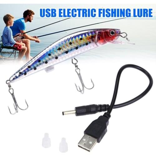 Electric Twitching Bait Led Lighting Fishing Lure Vib Vibration Rattlin Treble Hook Usb Rechargeable Minnow