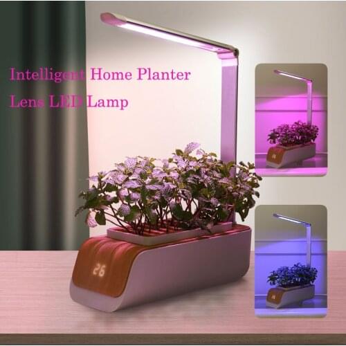 REAQ Plant Lamps