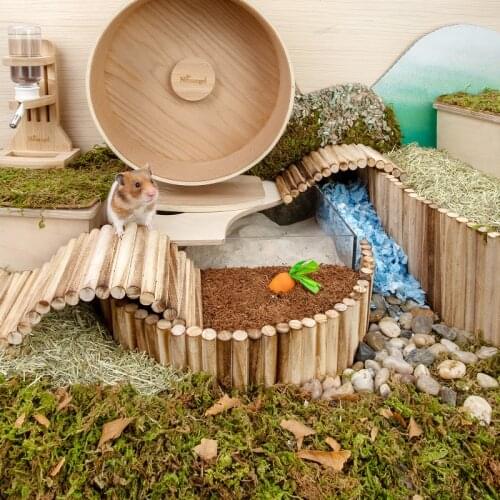 Pet Hamster small animal accessories Feeding Supplies cages toys house