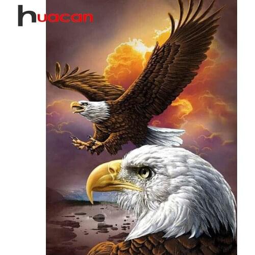 Huacan Diamond Art Painting Kits Eagle 5D Diamond Embroidery Cross Stitch Animal Mosaic Wall Art Sale