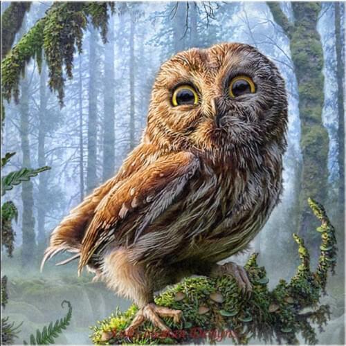 Needlework for embroidery DIY French DMC High Quality - Counted Cross Stitch Kits 14 ct Oil painting - Jungle Owl
