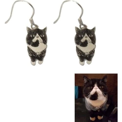 Custom S925 Sterling Silver Pet Cat Dog Photo Dangle Earring Engraved Name Silver Dog Tag Earrings Best Gift Women Men Memorial