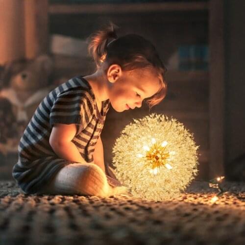 Net red chandelier modern minimalist clothing store crystal bedroom lamp dandelion light luxury living dining room lighting