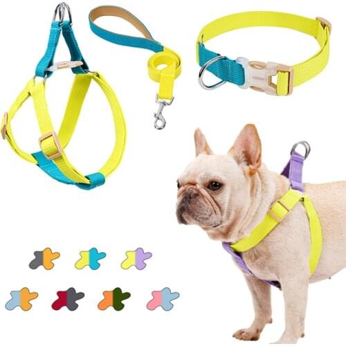 Nylon Dog Harness Vest Small Medium Lager Dogs Pet Harness Collar Perro Lead Leash Set For French Bulldog Summer Dog Accessories