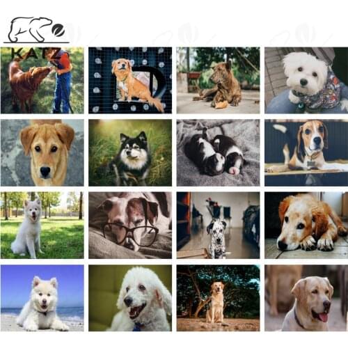 Cute White-Haired Dog Diamond Painting Cross Stitch Home Decoration Animal Picture Twin Pet Diamond Mosaic Handmade Diy Decor