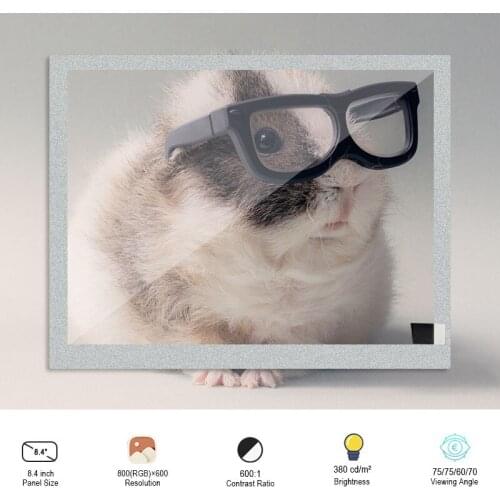 Original HannStar HSD084ISN1-A01 SRGB Multi Purpose 8.4 Inch Resolution 800*600 Lcd Display Modules For Digital Photo Frame