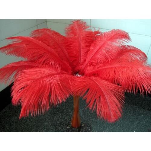 Free shipping 10 PCS beautiful natural red ostrich feather 50-55 cm / 20 to 22 inches
