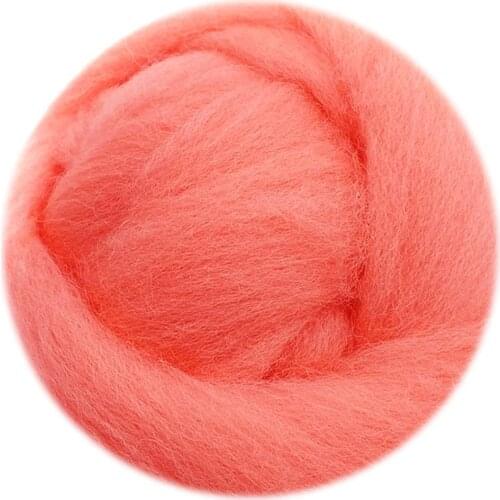 Feltsky 100g Felting Wool (70s 19um Grade) Needle Felting Diy Wool for Needle Felting Kit by Plastic Bag (N0.23)