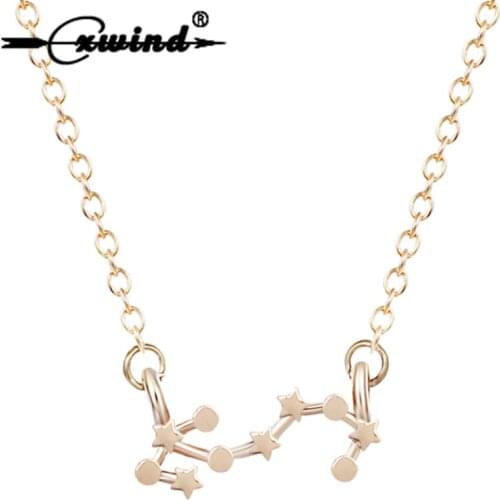 Cxwind Birthday 24/10-22/11 Scorpio Necklace Zodiac Sign Constellation Pendant Necklace Elegant Horoscope Jewelry