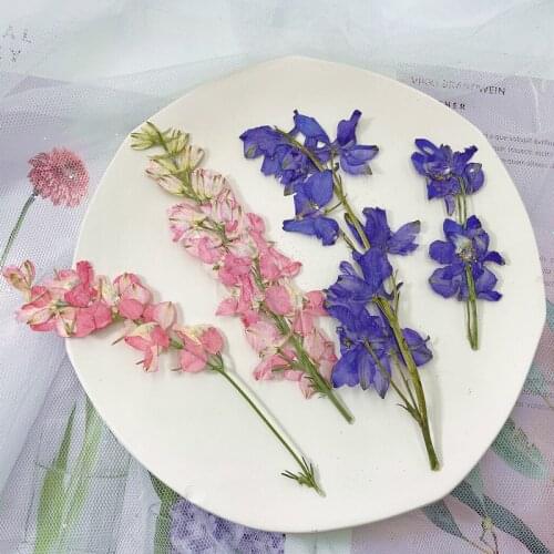 Dried Flowers Embossed Specimen DIY Glue Dropping Table Lamp Candle Nail Photo Frame Embossing Material Home Decor Flores